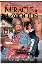 Watch Miracle in the Woods Movie25