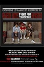 Watch Beastie Boys: Fight for Your Right Revisited Movie25