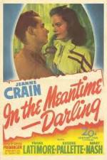 Watch In the Meantime Darling Movie25