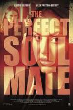 Watch The Perfect Soulmate Movie25
