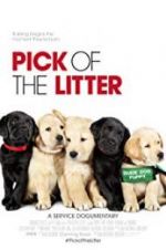 Watch Pick of the Litter Movie25