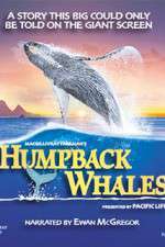 Watch Humpback Whales Movie25
