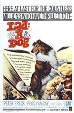 Watch Lad: A Dog Movie25