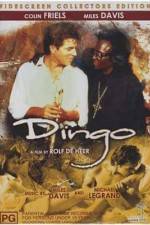 Watch Dingo Movie25