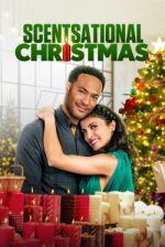 Watch A Candlelit Christmas Movie25