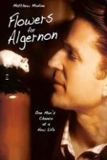 Watch Flowers for Algernon Movie25