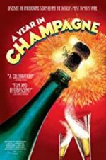 Watch A Year in Champagne Movie25