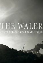 Watch The Waler: Australia\'s Great War Horse Movie25