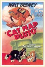 Watch Cat Nap Pluto Movie25