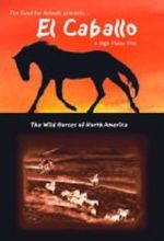 Watch El Caballo: The Wild Horses of North America Movie25