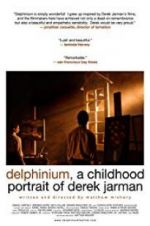 Watch Delphinium: A Childhood Portrait of Derek Jarman Movie25