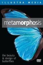 Watch Metamorphosis: The Beauty and Design of Butterflies Movie25