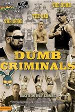Watch Dumb Criminals: The Movie Movie25