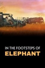 Watch In the Footsteps of Elephant Movie25