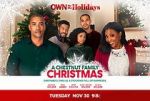 Watch A Chestnut Family Christmas Movie25