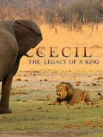 Watch Cecil: The Legacy of a King Movie25