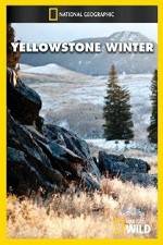 Watch National Geographic Yellowstone Winter Movie25