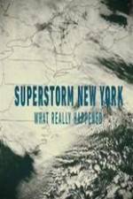 Watch Superstorm New York: What Really Happened Movie25