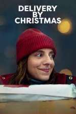 Watch Delivery by Christmas Movie25