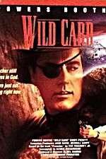 Watch Wild Card Movie25