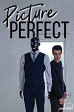 Watch Picture Perfect Movie25
