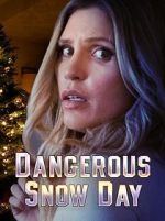 Watch Dangerous Snow Day Movie25