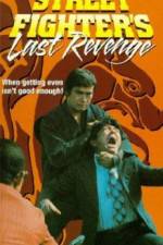 Watch The Street Fighters Last Revenge Movie25