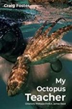 Watch My Octopus Teacher Movie25