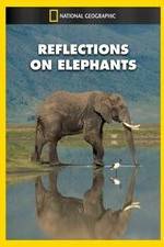 Watch Reflections on Elephants Movie25