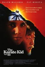 Watch The Karate Kid Part III Movie25