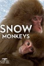 Watch Nature: Snow Monkeys Movie25