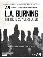 Watch L.A. Burning: The Riots 25 Years Later Movie25