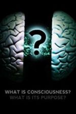 Watch What Is Consciousness? What Is Its Purpose? Movie25