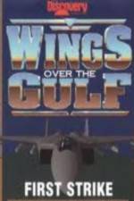 Watch Wings Over the Gulf Vol  1  First Strike Movie25