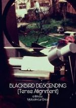 Watch Blackbird Descending Movie25