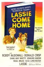 Watch Lassie Come Home Movie25