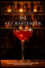 Watch Hey Bartender Movie25