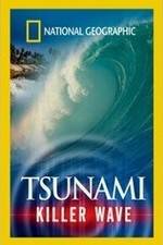 Watch National Geographic: Tsunami - Killer Wave Movie25
