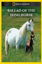 Watch Ballad of the Irish Horse Movie25