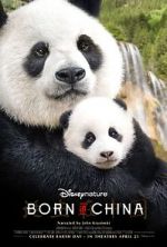 Watch Born in China Movie25