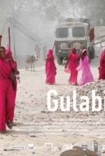 Watch Gulabi Gang Movie25