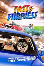 Watch Fast and Furriest Movie25
