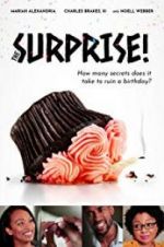 Watch The Surprise! Movie25