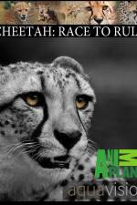 Watch Cheetah: Race to Rule Movie25