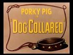 Watch Dog Collared (Short 1950) Movie25