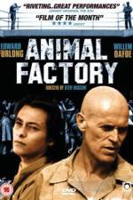 Watch Animal Factory Movie25