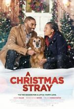 Watch A Christmas Stray Movie25