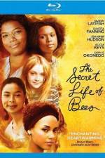 Watch The Secret Life of Bees Movie25