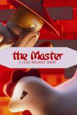 Watch The Master A Lego Ninjago Short Movie25