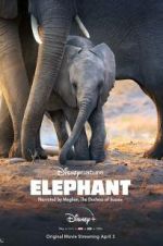Watch Elephant Movie25